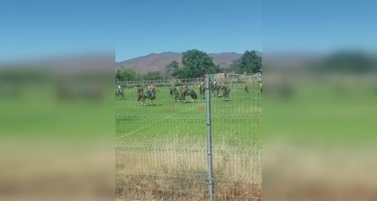 Jinete de Carabineros queda grave tras choque de caballos dutante presentación en Curacaví