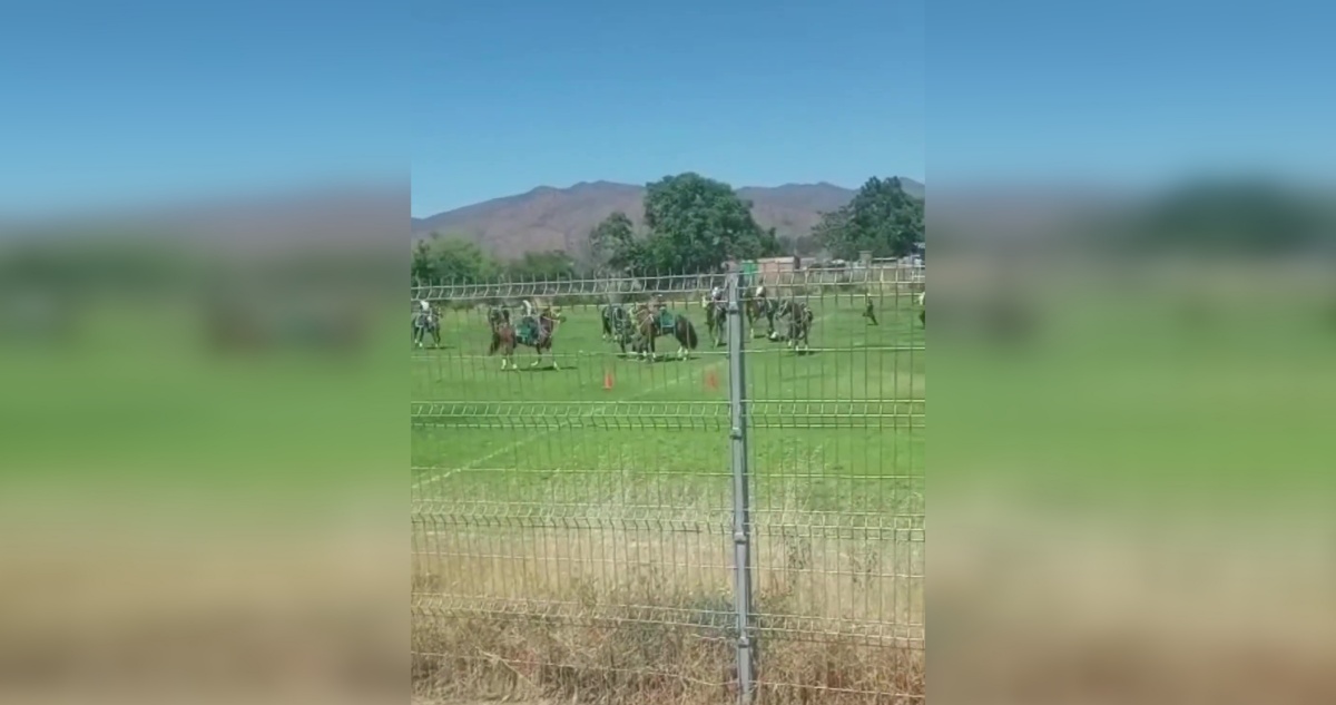 Jinete de Carabineros queda grave tras choque de caballos dutante presentación en Curacaví