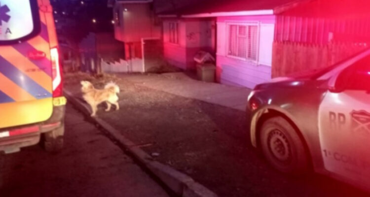 Joven que apuñaló a su madre en la pierna quedó con firma mensual