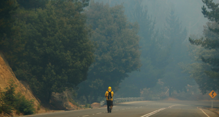 La Araucanía incendios forestales
