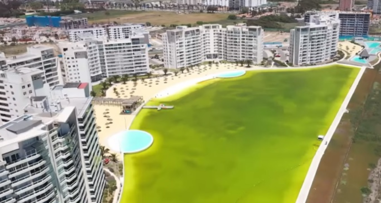 La Serena laguna pantano