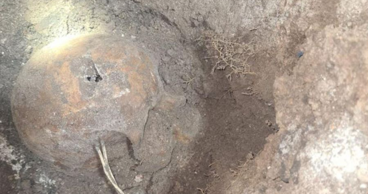 Macabro hallazgo en Argentina: descubren esqueleto en patio y sería mujer desaparecida hace 10 años