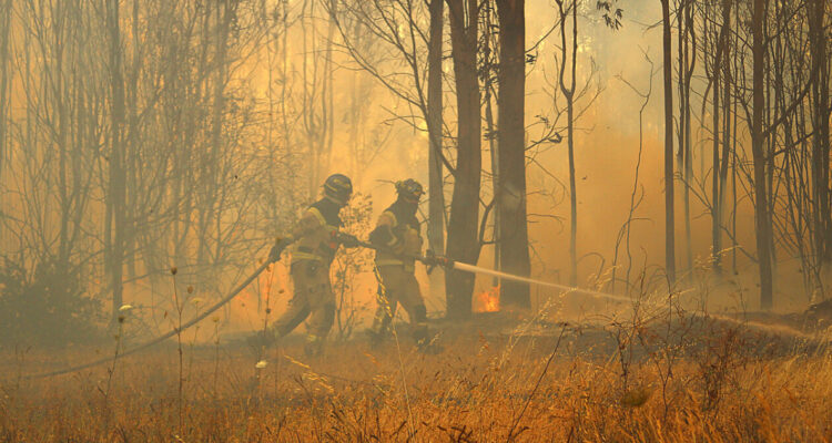 Bomberos combaten incendio forestal en cercanías de fábrica de fuegos artificiales en Malloa