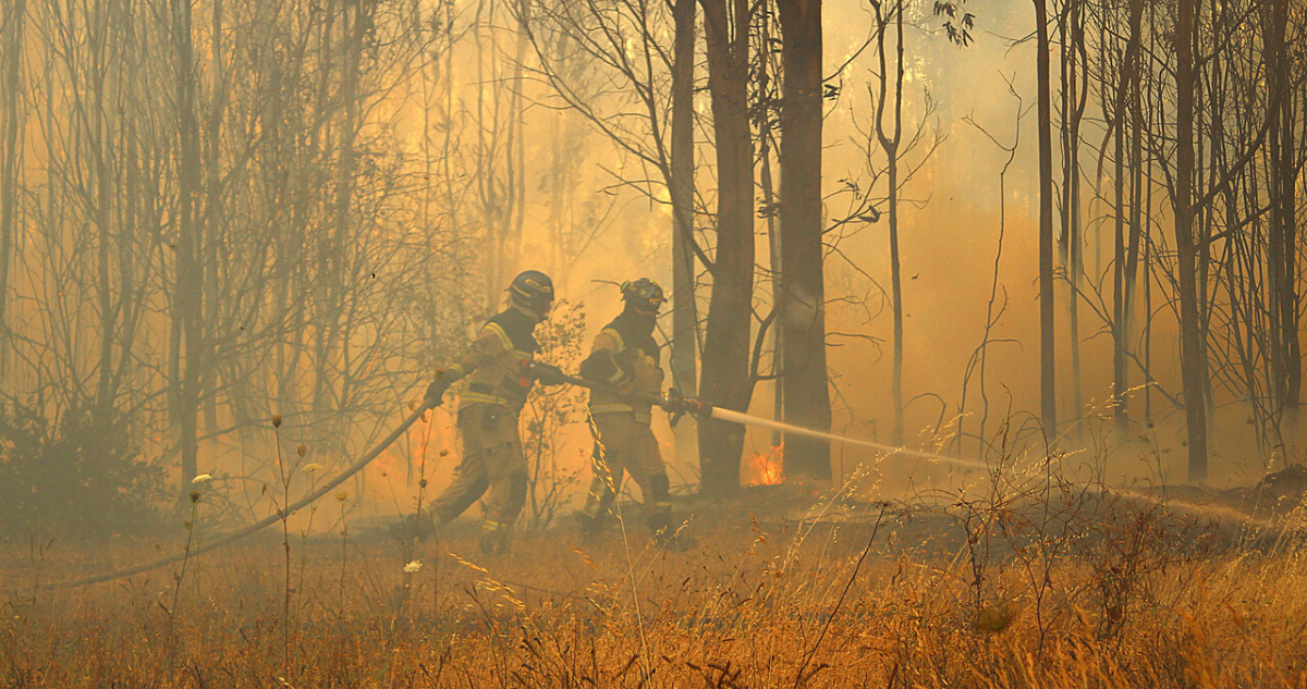 Bomberos combaten incendio forestal en cercanías de fábrica de fuegos artificiales en Malloa