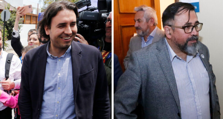 mirosevic-pino-camara-diputados