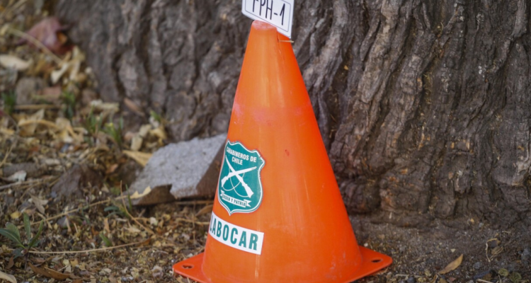 Hombre muere tras caer de árbol