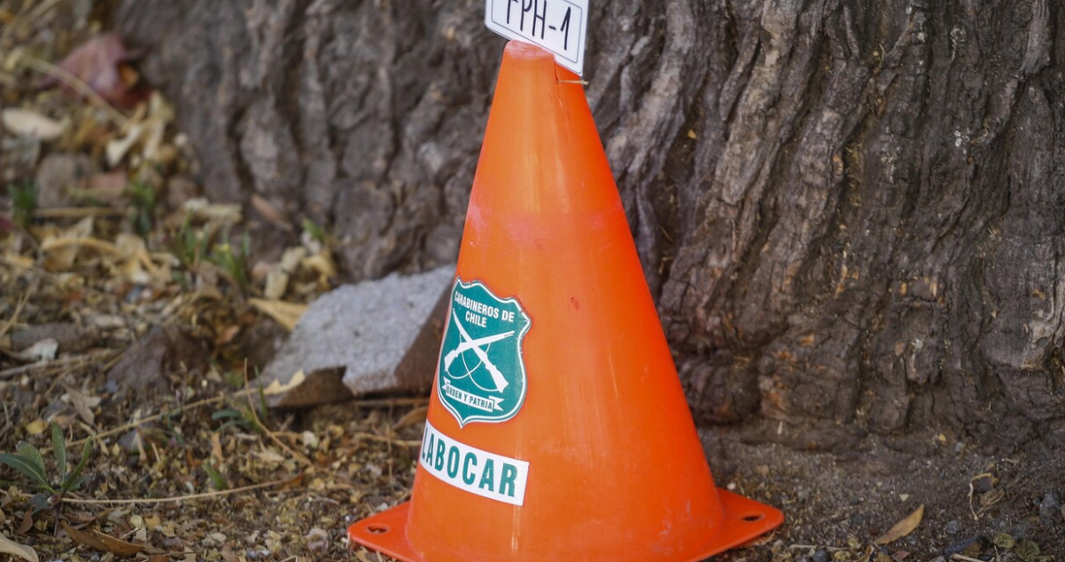 Hombre muere tras caer de árbol