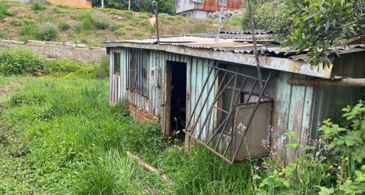 Investigan hallazgo de cuerpo al interior de vivienda en Lota: cuerpo tendría mordeduras de animales