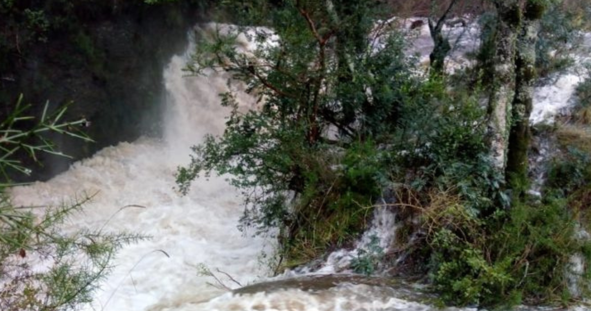 Multan a particular por contaminar río Rarinco de los Ángeles
