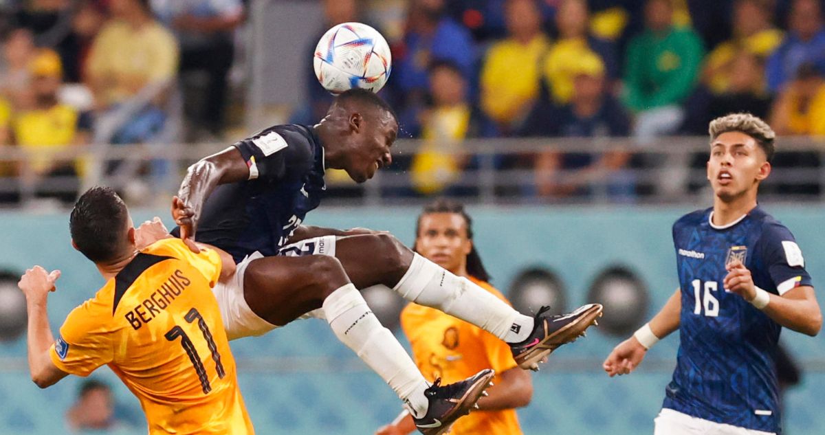 Países Bajos y Ecuador repartieron puntos en el Mundial