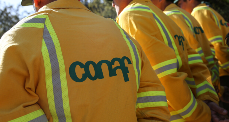 Paro de funcionarios de Conaf