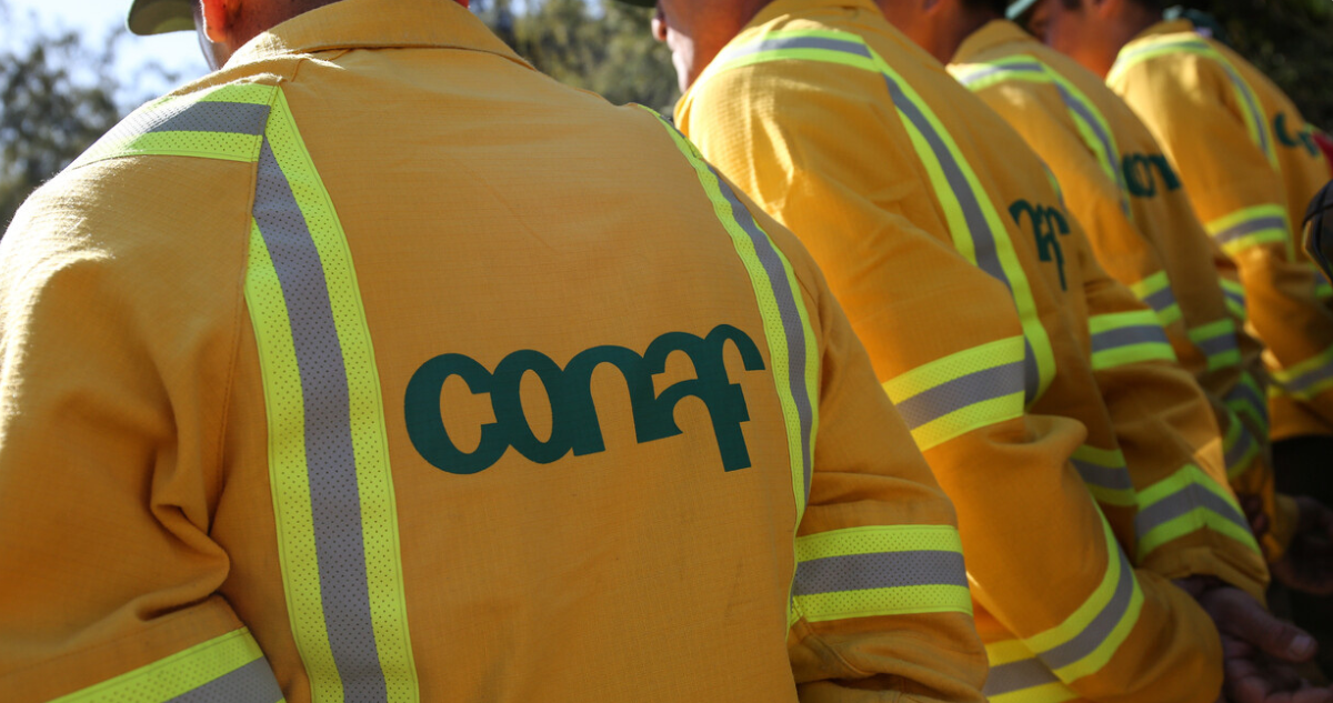 Paro de funcionarios de Conaf