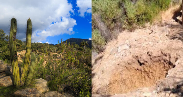 Socavón en Parque Nacional La Campana