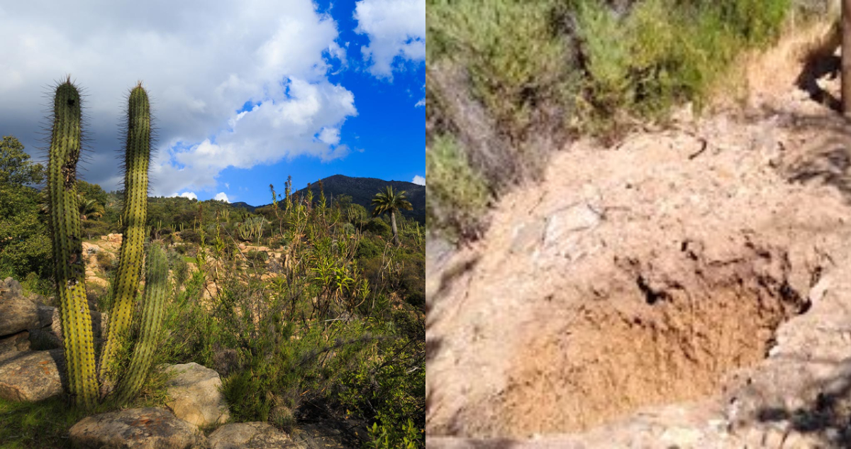 Socavón en Parque Nacional La Campana