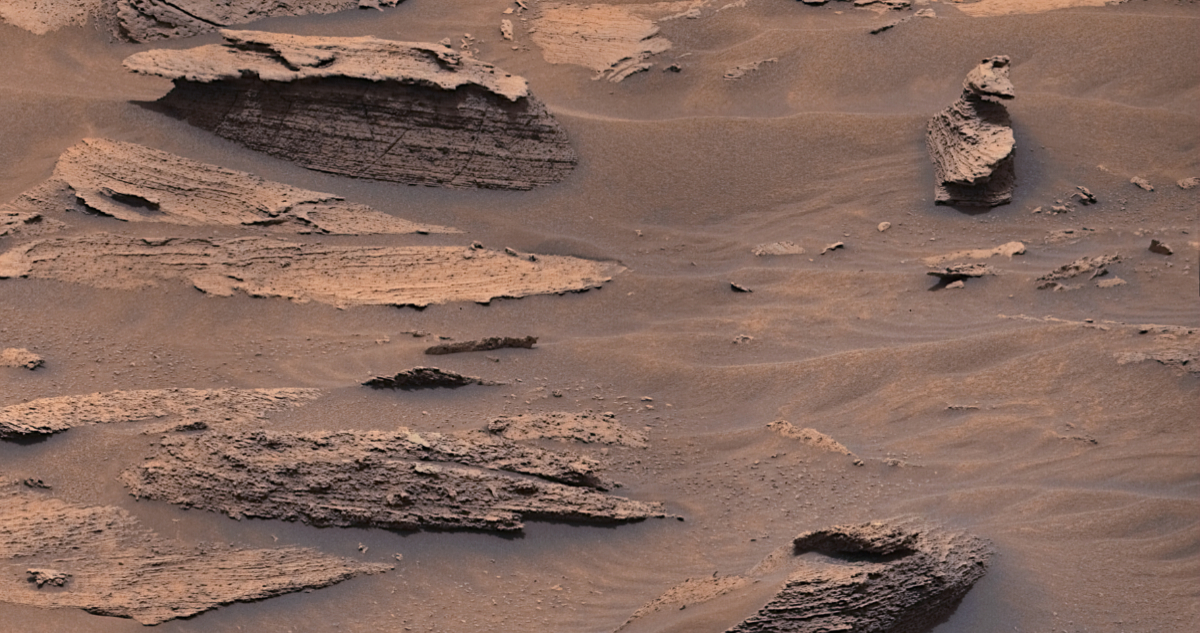 Rover Curiosity encontró un pato en Marte
