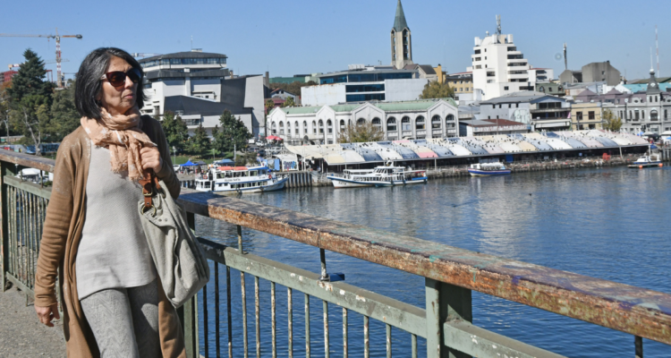 plan regulador de Valdivia