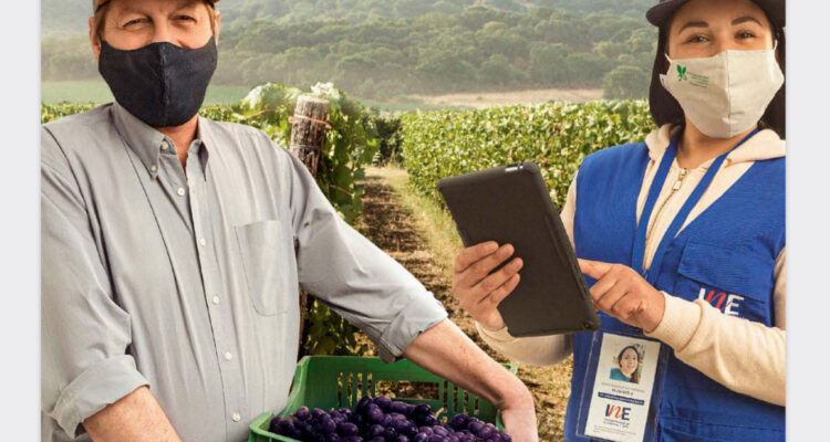 Análisis al VIII Censo Agropecuario del INE