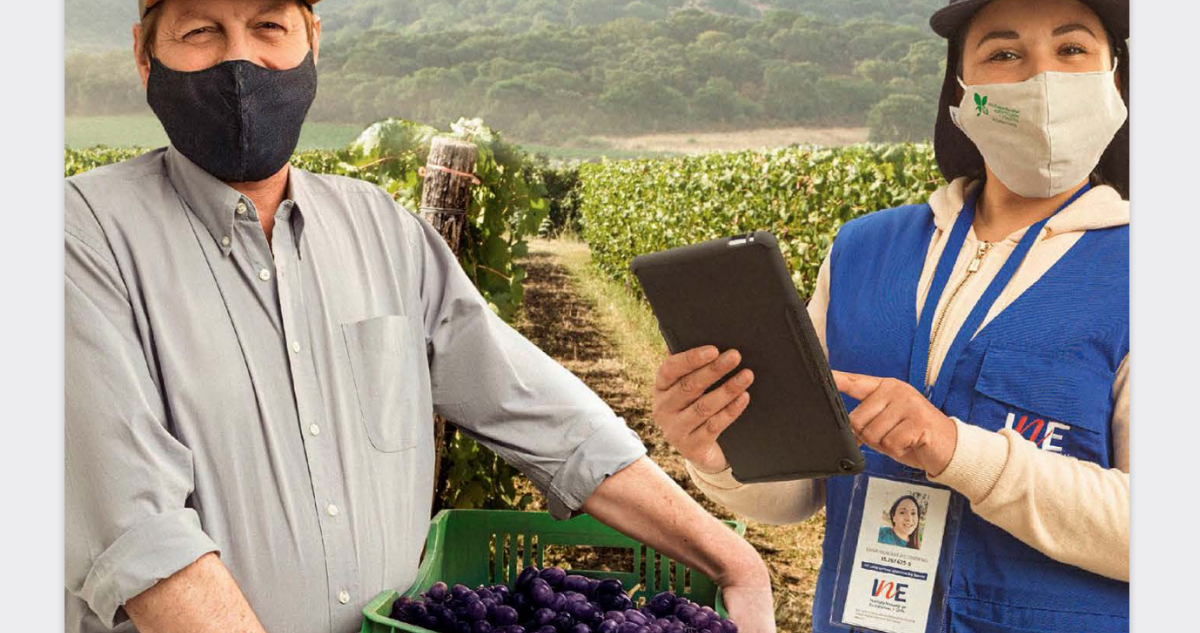 Análisis al VIII Censo Agropecuario del INE