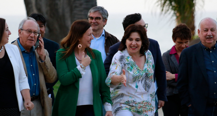 proceso constituyente – oficialismo