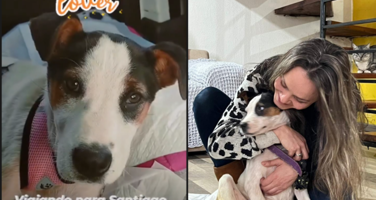 Profesora gana millonario premio que destinará a salvar la vida de una perrita callejera|