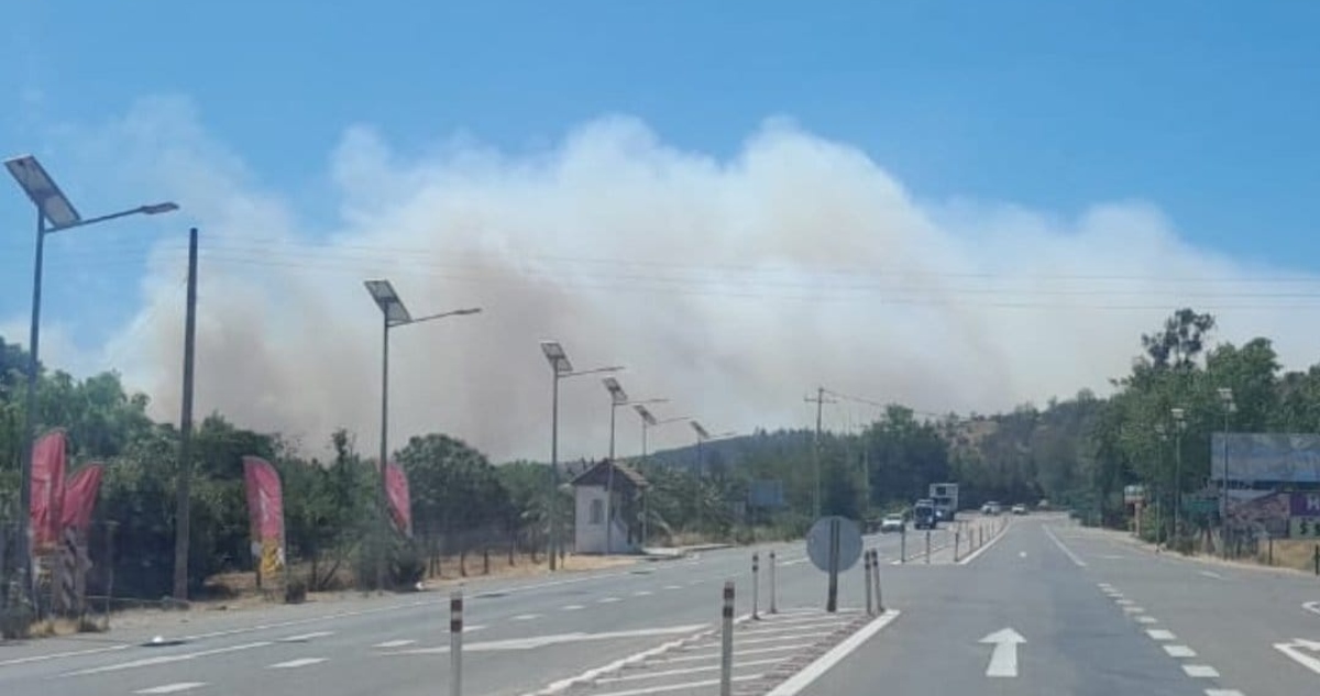 Incendio forestal en Quilpué