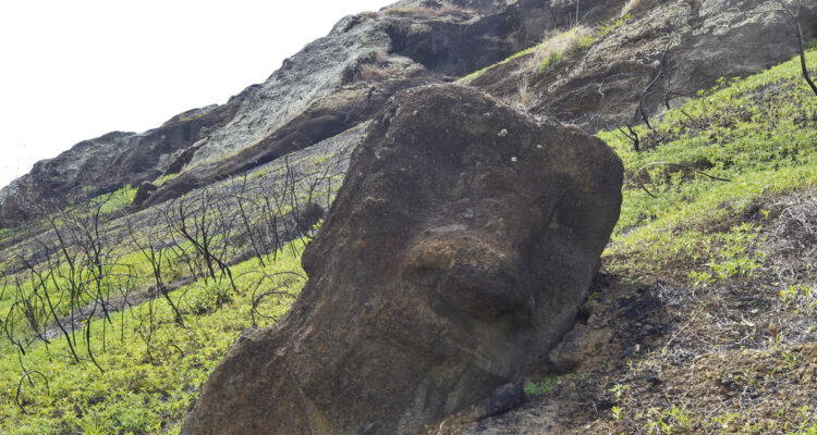 Unesco financiará millonario diagnóstico y plan de daños de incendio en Rapa Nui