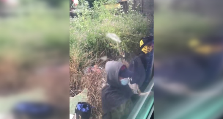 barricadas Biotrén Concepción