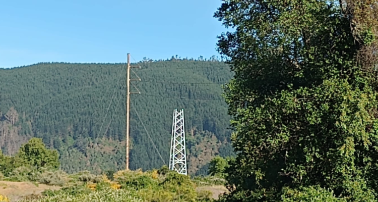 Empresa repone torres atacadas en Hualqui