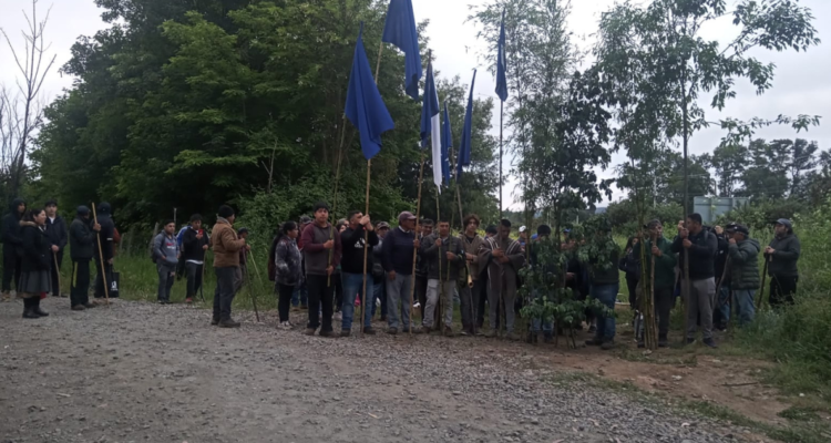 comunidades recuperación fundo Vilcún
