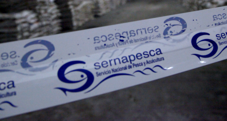 recursos marítimos ilegales Calbuco