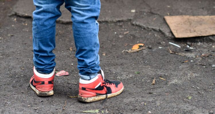 Registro Nacional de Deudores de Pensiones de Alimentos