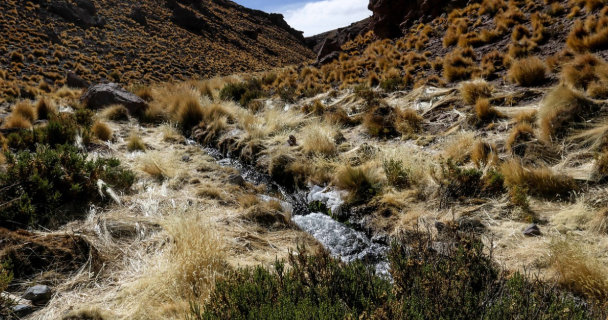 río Silala