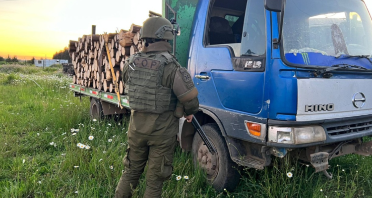 robo de madera Ercilla