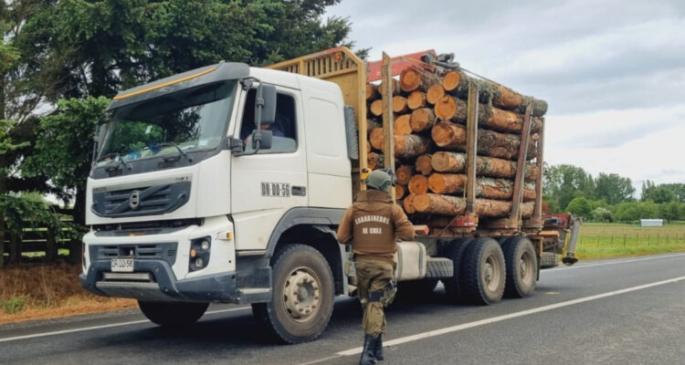 Camión trasnportando madera de dudosa procedencia