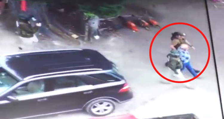 Prisión para 3 de los 12 detenidos en mega operativo por robo de madera en Bío Bío y Araucanía