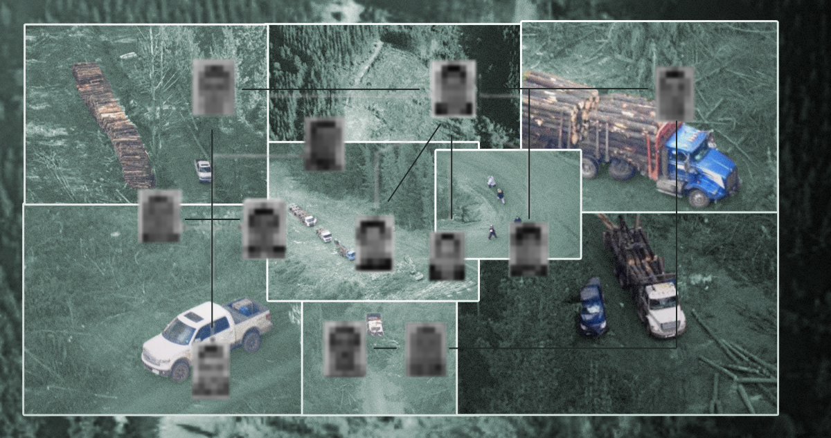 Contrato con la Armada y delitos tributarios: los nexos de últimos caídos ligados al robo de madera