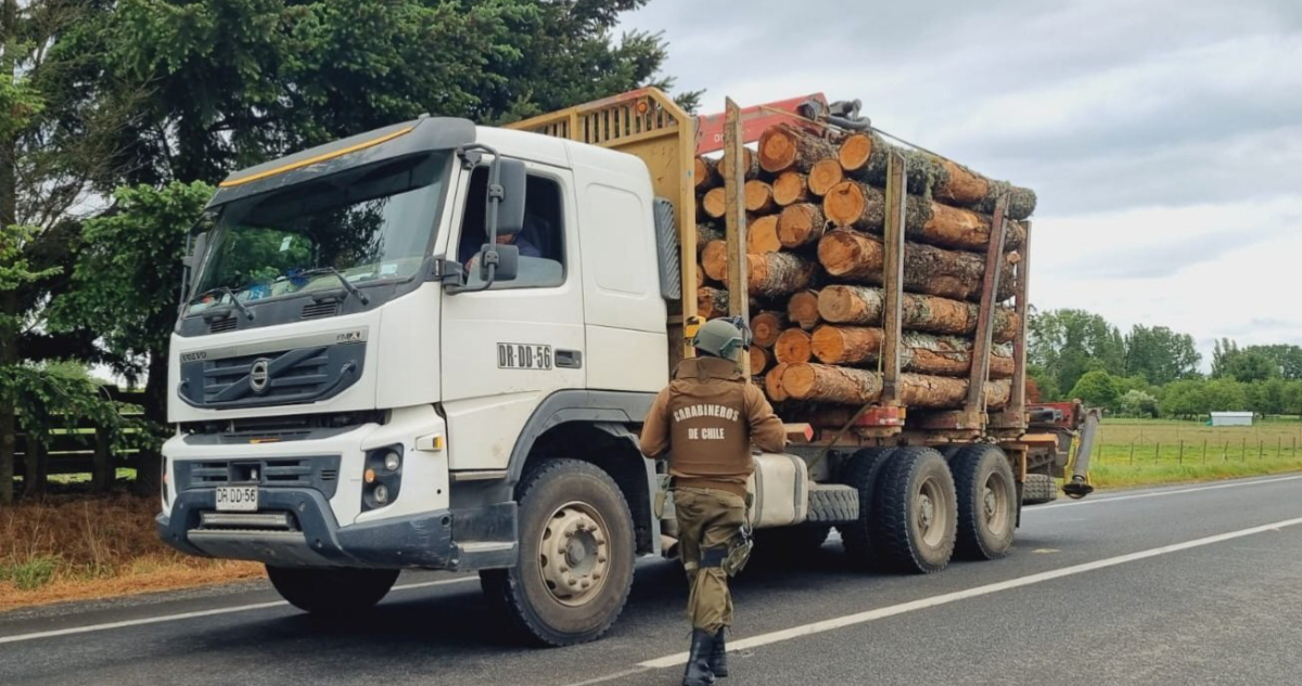 Camión trasnportando madera de dudosa procedencia