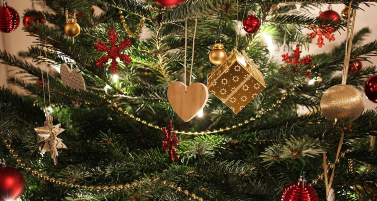 Corma confirma fenómeno del “robo hormiga” de pinos durante Navidad