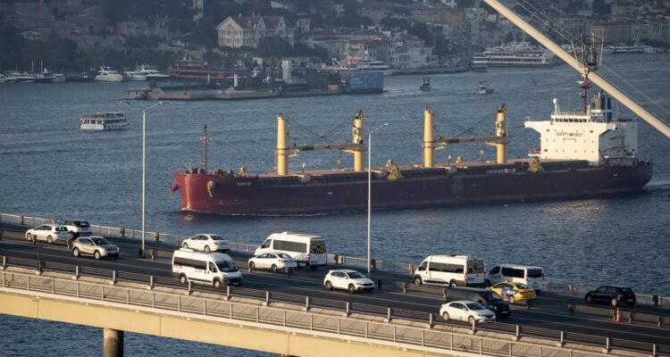Un buque cargando grano ucraniano.