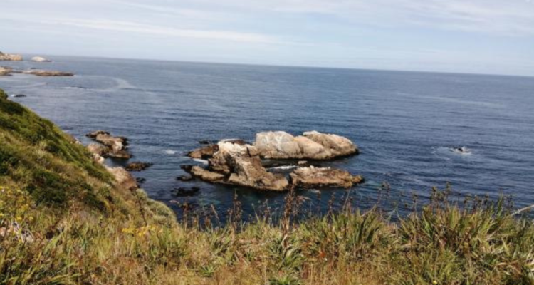 Santuario de la Naturaleza Hualpén