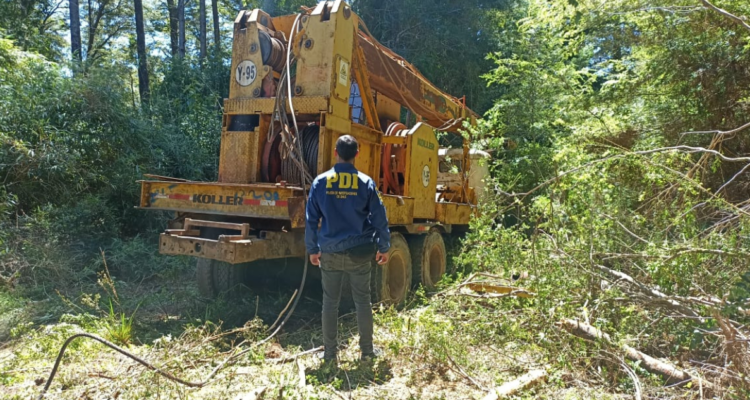En libertad quedan tres sujetos que fueron sorprendidos robando madera en La Unión