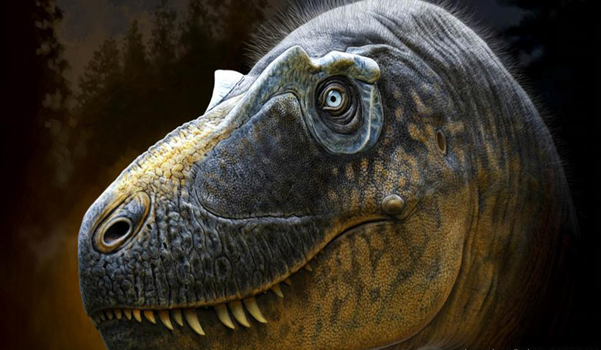 tiranosaurio