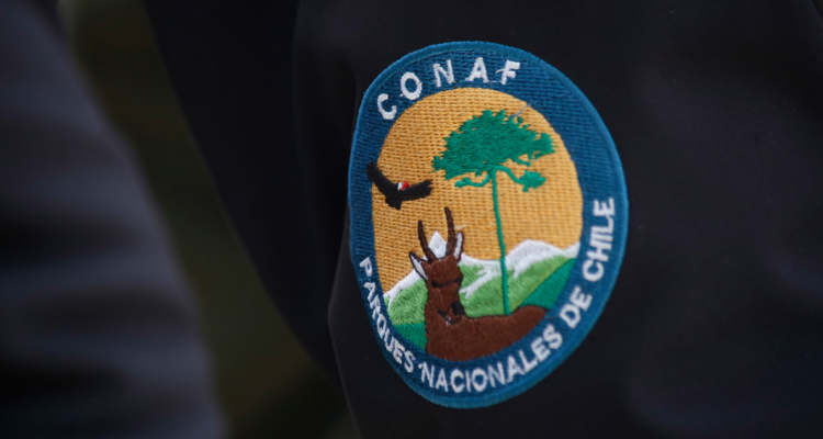 Emblema de guardaparques de Conaf.