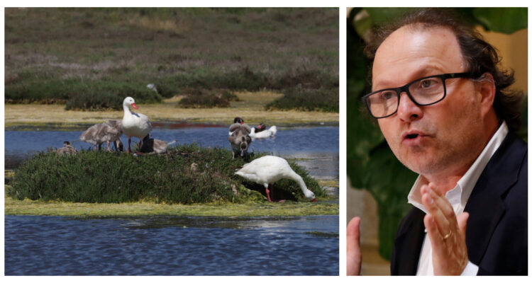 De Urresti advierte eliminación de protección a humedales en Presupuesto de Medio Ambiente