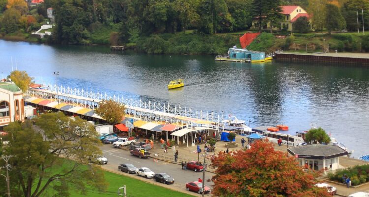 Alertan altas temperaturas en región de Los Ríos y monitoreos por riesgos de incendios forestales