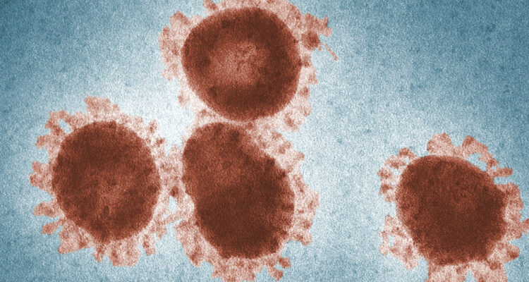 Descubren 13 nuevos virus enterrados bajo permafrost