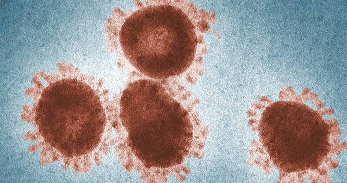 Descubren 13 nuevos virus enterrados bajo permafrost