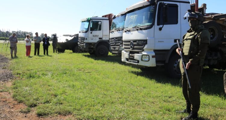 Operativo por robo de madera