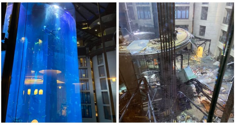 El acuario, antes y después de reventar.