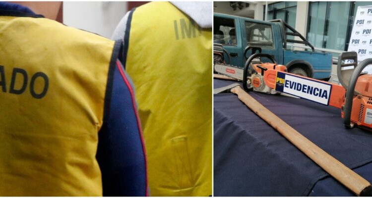 Alcalde llama a la prudencia por detención de 10 personas por robo de madera en San Juan de la Costa